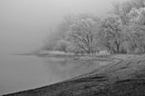 hoarfrost and fog Poster och Canvastavla