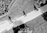 Family cycling Poster och Canvastavla