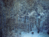 Blue Winter Poster och Canvastavla