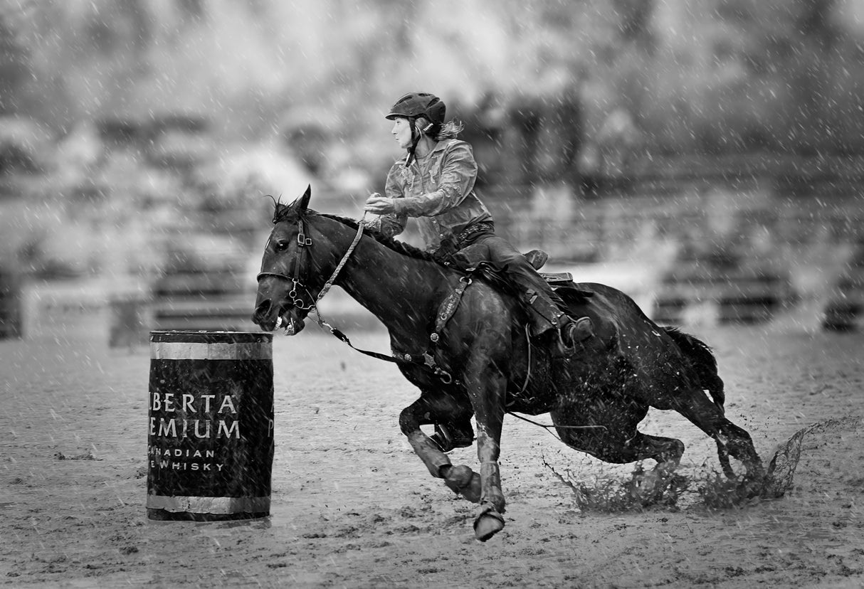 Barrel Racing in The Rain Poster och Canvastavla