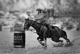 Barrel Racing in The Rain Poster och Canvastavla
