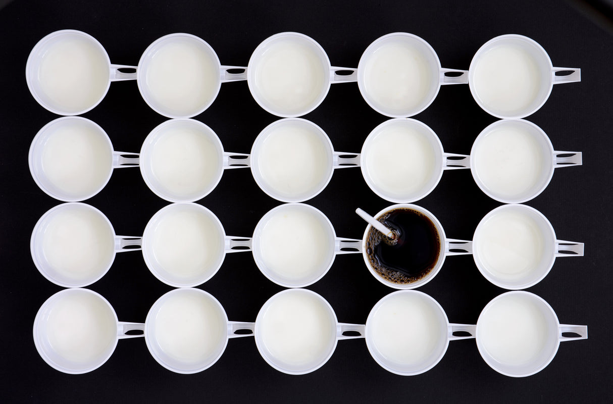 Coffee time Poster och Canvastavla