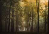 tall trees Poster och Canvastavla