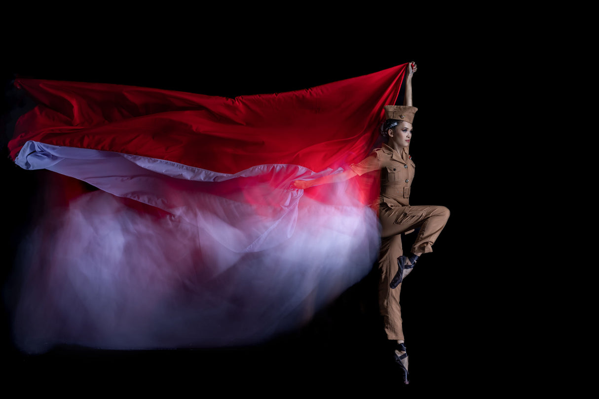 Independence Day Poster och Canvastavla