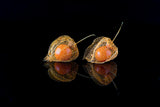 Latten Fruit Poster och Canvastavla