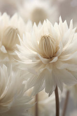 Pastel Nature Macro No6 Poster och Canvastavla