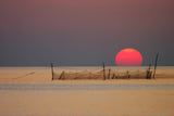 CATCH THE SUN Poster och Canvastavla