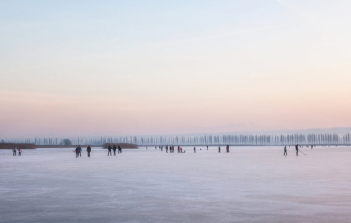 frozen lake Poster och Canvastavla