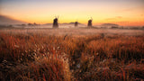 Autumn morning Poster och Canvastavla