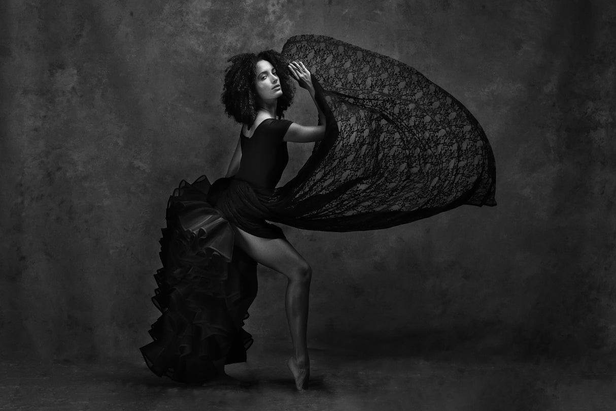 Ballet dance Poster och Canvastavla
