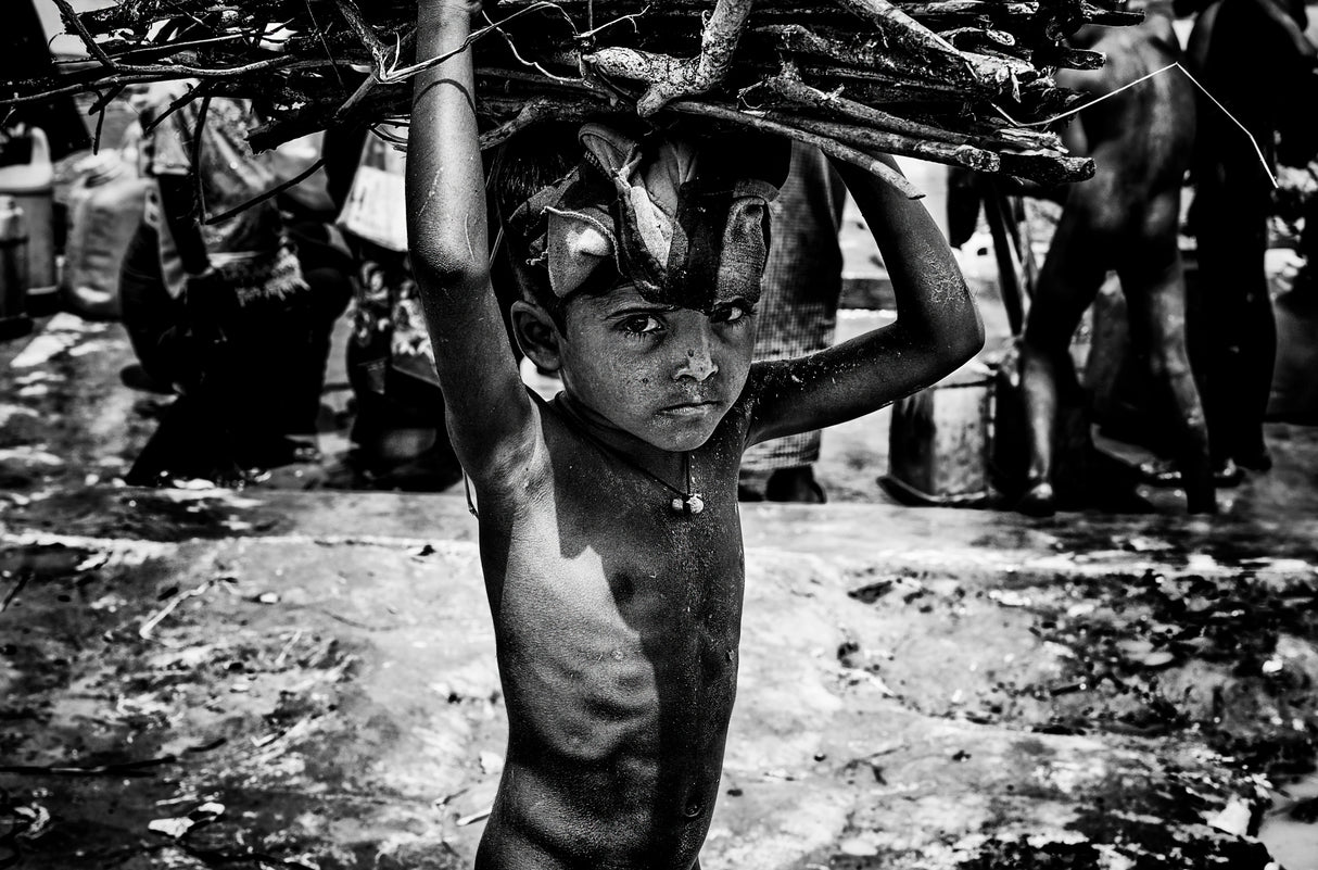 Rohingya refugee child carrying some wood to make fire - Bangaldesh Poster och Canvastavla