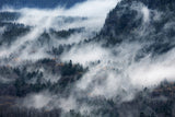 A valley in the fog Poster och Canvastavla