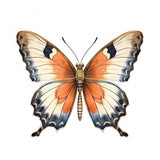 Butterfly 29 Poster och Canvastavla