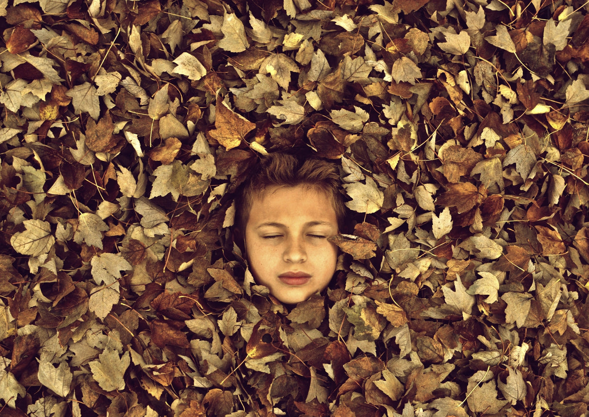 Childhood's Autumn Poster och Canvastavla