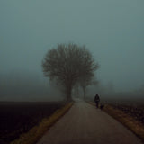 morning walk Poster och Canvastavla
