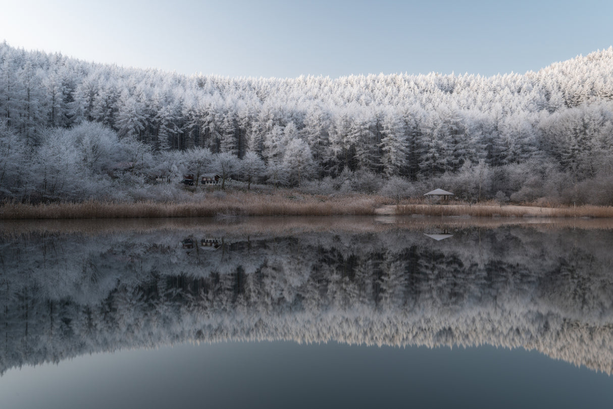 silent morning Poster och Canvastavla