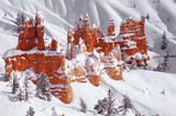 Red Rock Castle Poster och Canvastavla