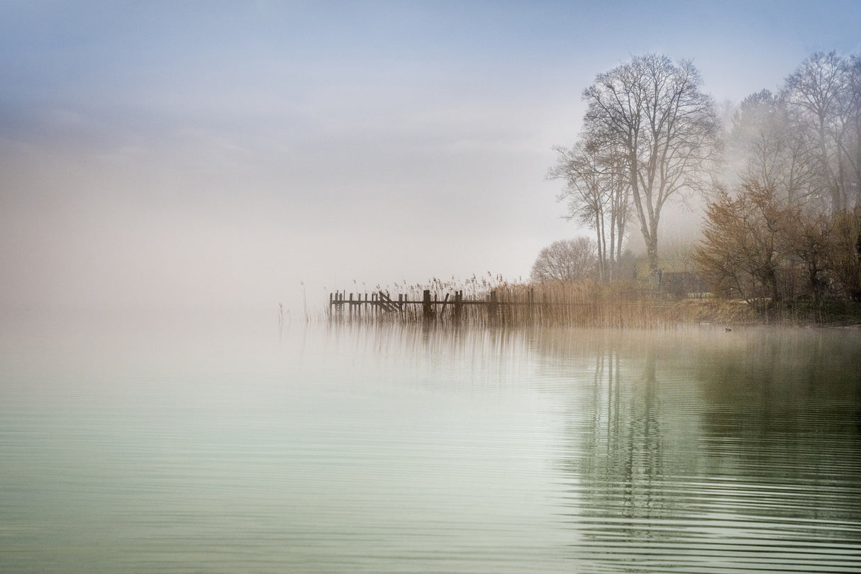 Foggy Spring Morning Poster och Canvastavla