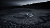 Going nowhere Poster och Canvastavla