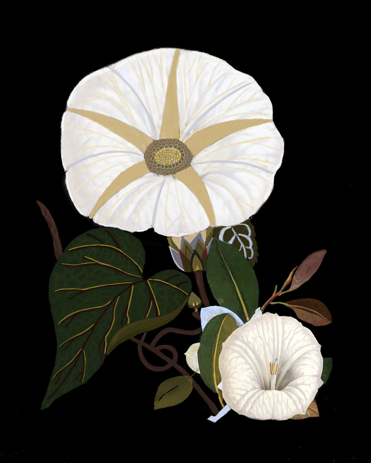 Moody Morning Glories Poster och Canvastavla