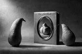 Fine Art Nude Poster och Canvastavla
