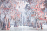 Atchafalaya River Poster och Canvastavla