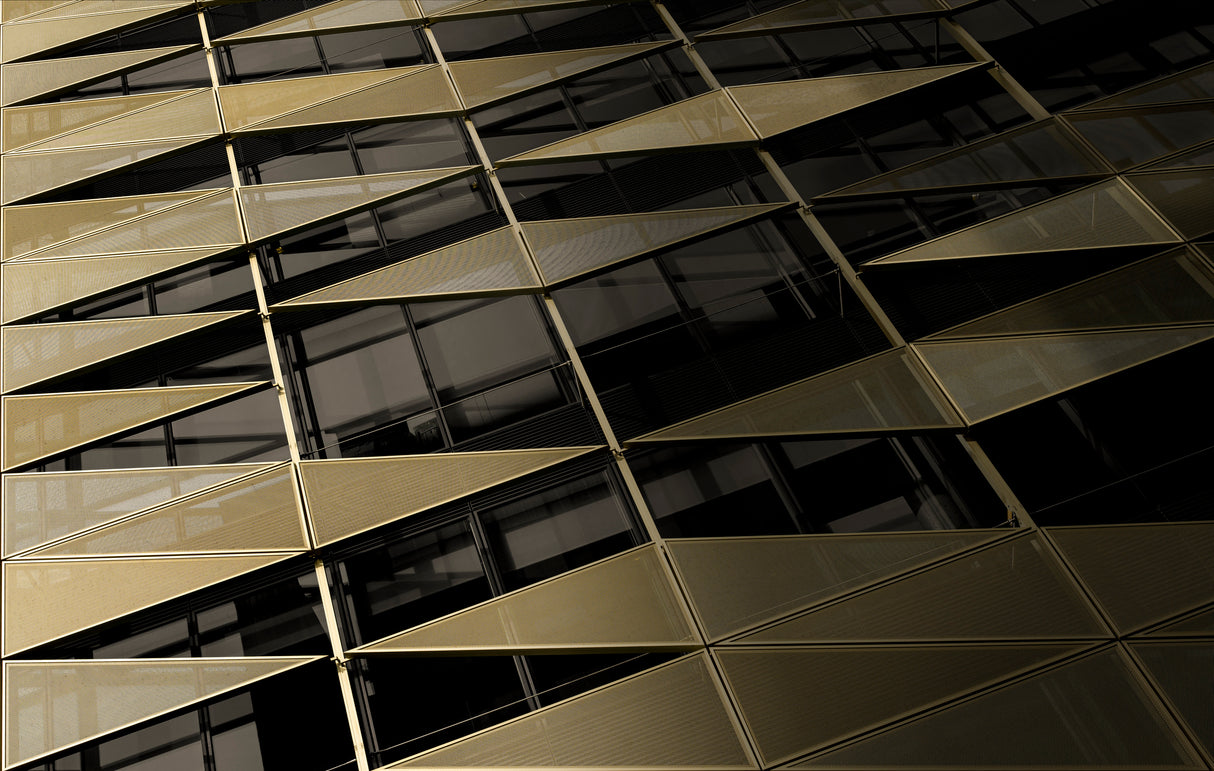 Facade decoration Poster och Canvastavla