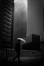 Shinjuku in the rain Poster och Canvastavla