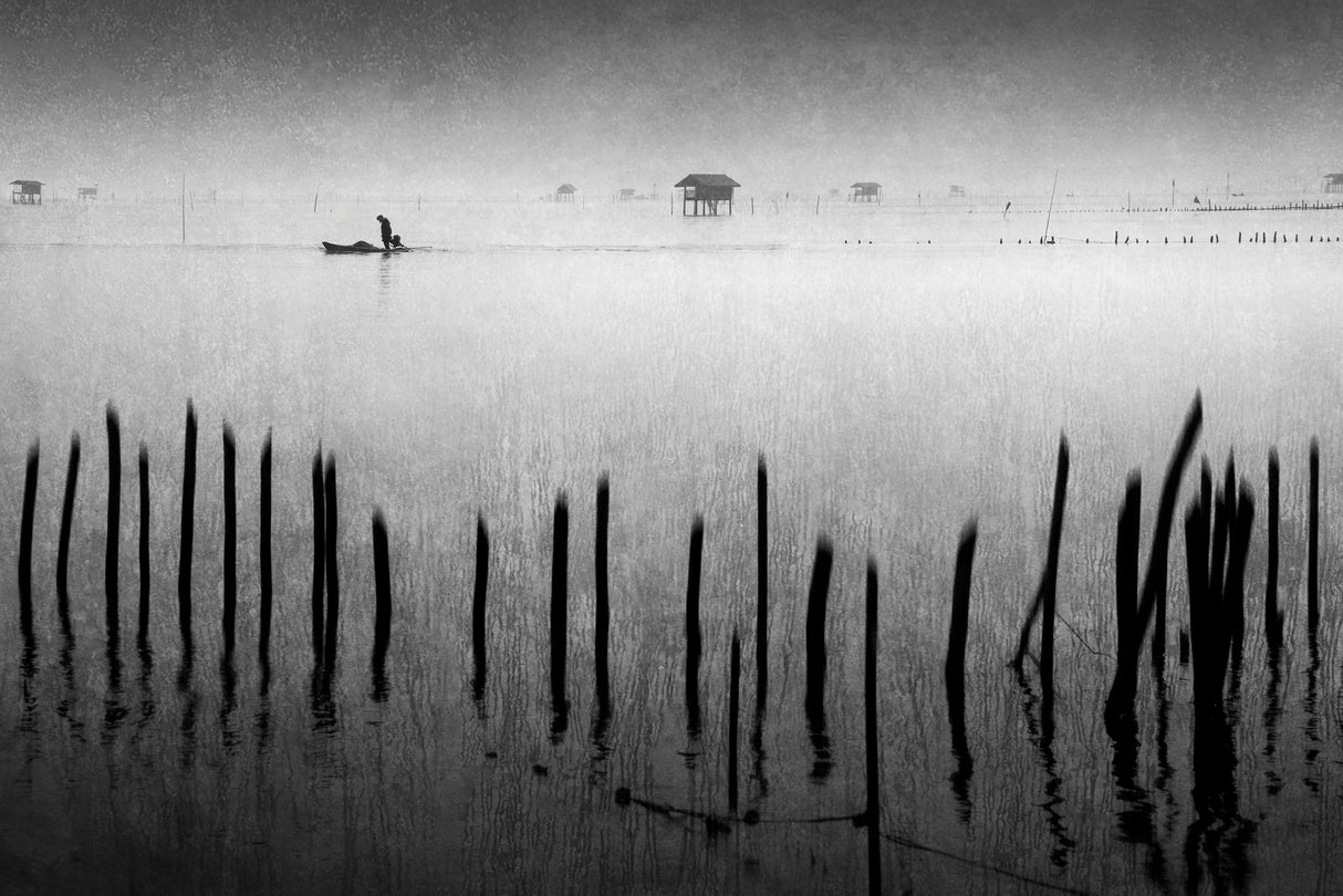 Melody of the wetland Poster och Canvastavla