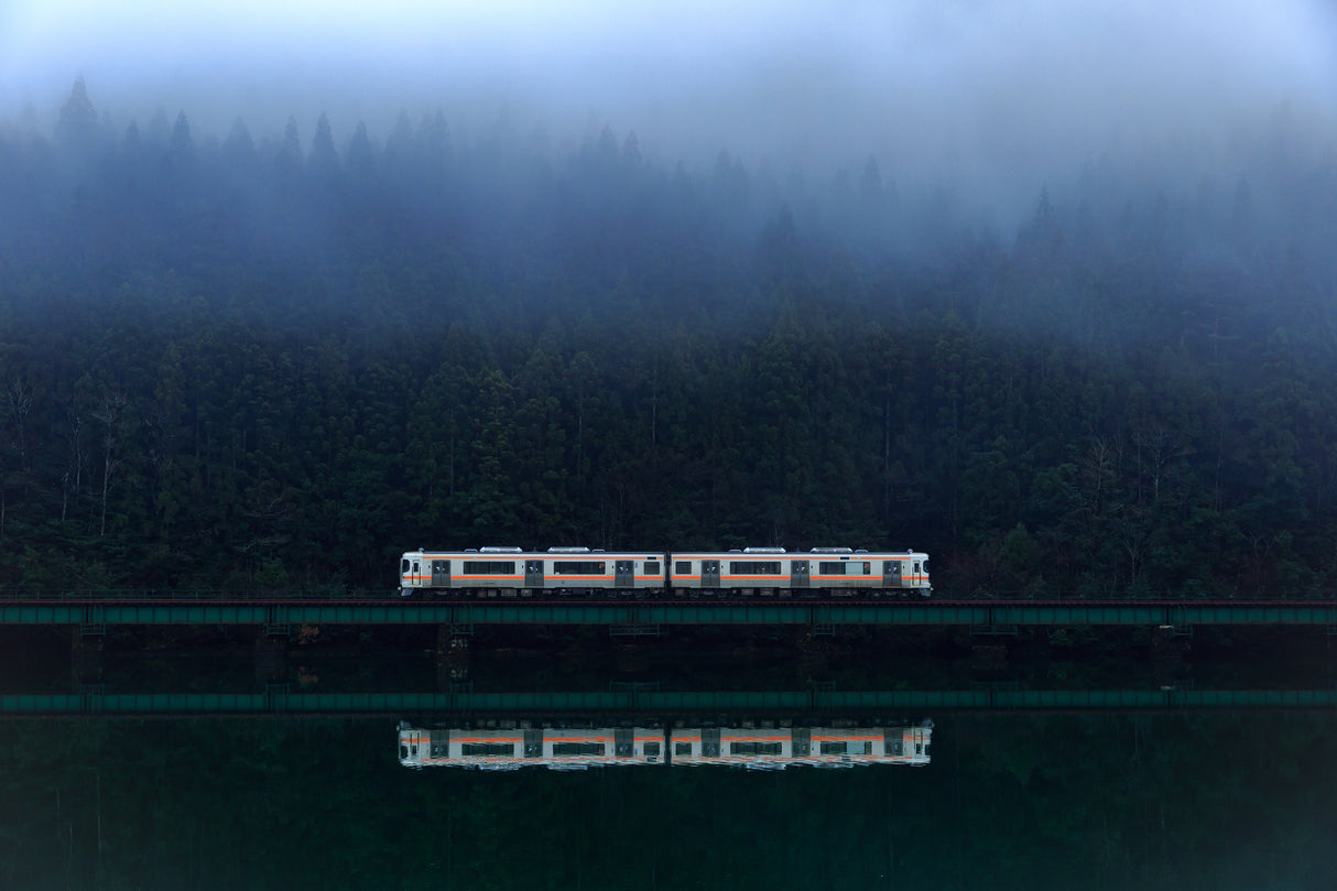 Foggy Train Poster och Canvastavla