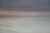 The Beauty of the Wadden Sea Poster och Canvastavla