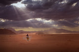 Desert Knight Poster och Canvastavla