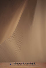 Caravan Sahara Poster och Canvastavla
