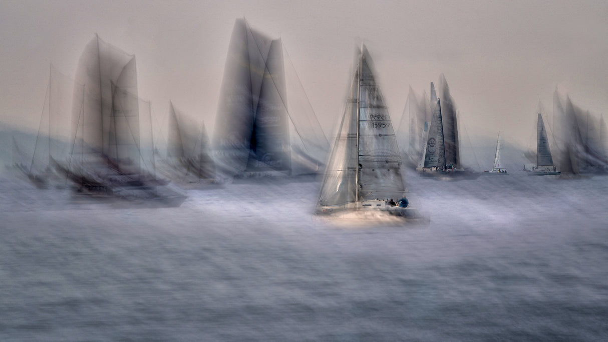 In no wind Poster och Canvastavla