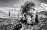 little shepherd Poster och Canvastavla