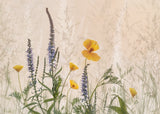 Dreaming of flowers Poster och Canvastavla