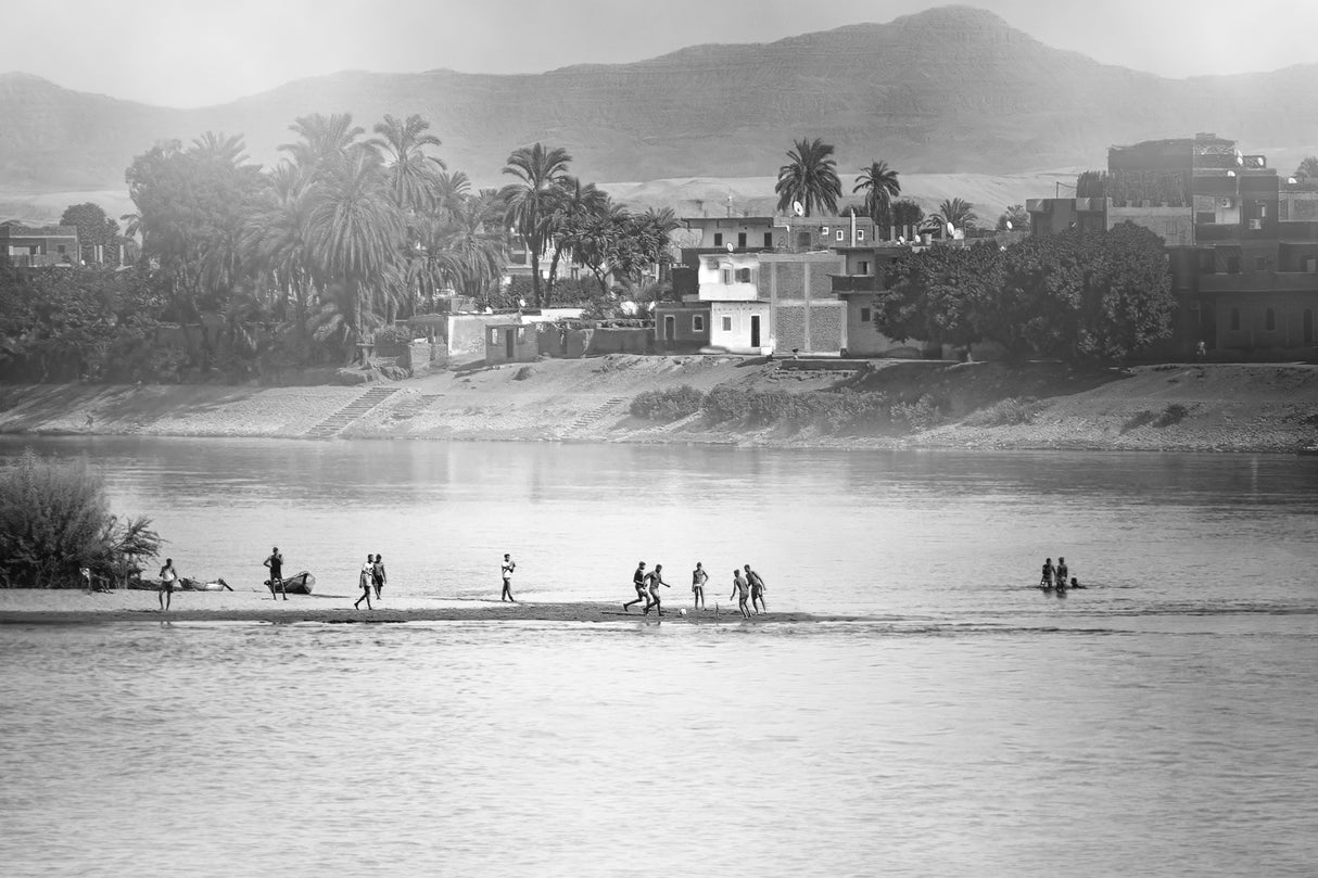 Life on the Nile Poster och Canvastavla