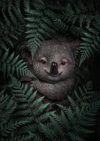 Cute Baby Koala Poster och Canvastavla
