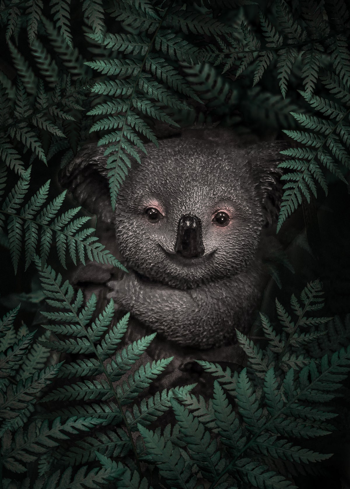 Cute Baby Koala Poster och Canvastavla