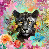 Cheetah Tropical Garden 2 Poster och Canvastavla