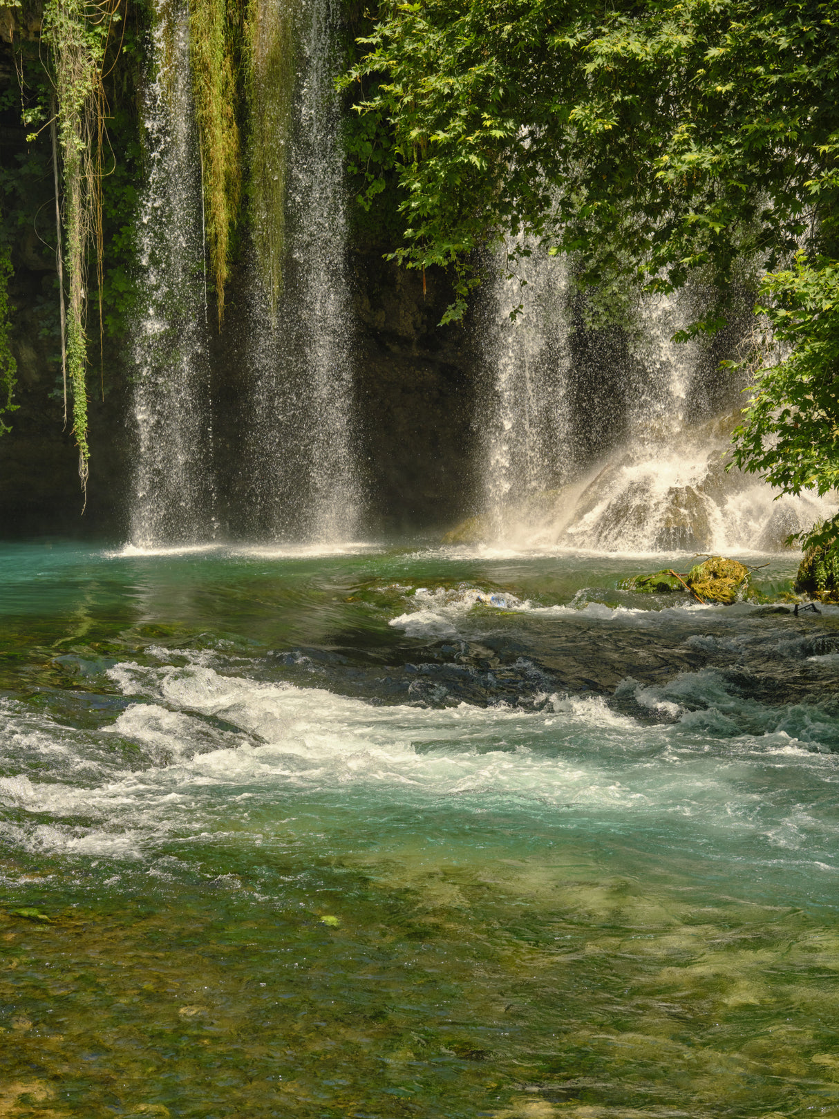 beautiful waterfall in the forest Poster och Canvastavla