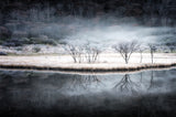 Between autumn and winter Poster och Canvastavla