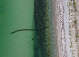 Fishing net Poster och Canvastavla