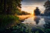Enchanted pond Poster och Canvastavla