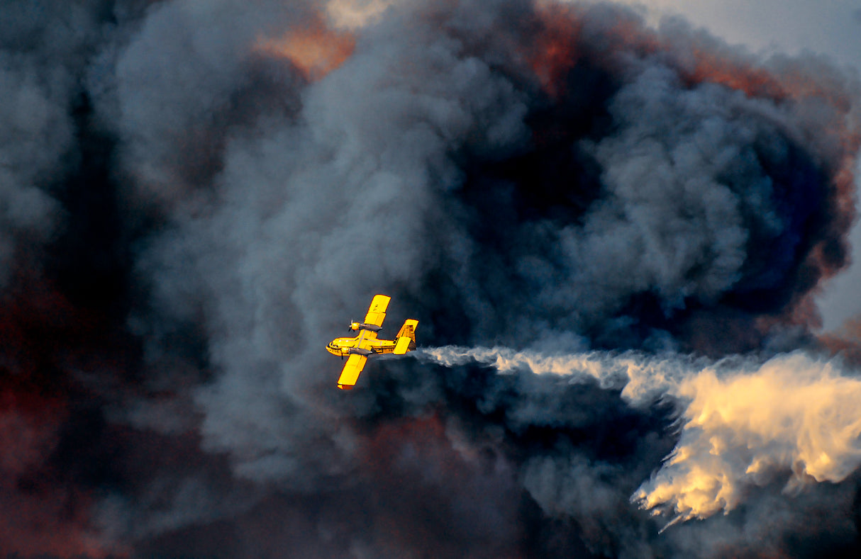 Firefighting aircraft \ 2 Poster och Canvastavla