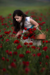 Poppy Girl Poster och Canvastavla