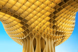 City parasol Poster och Canvastavla