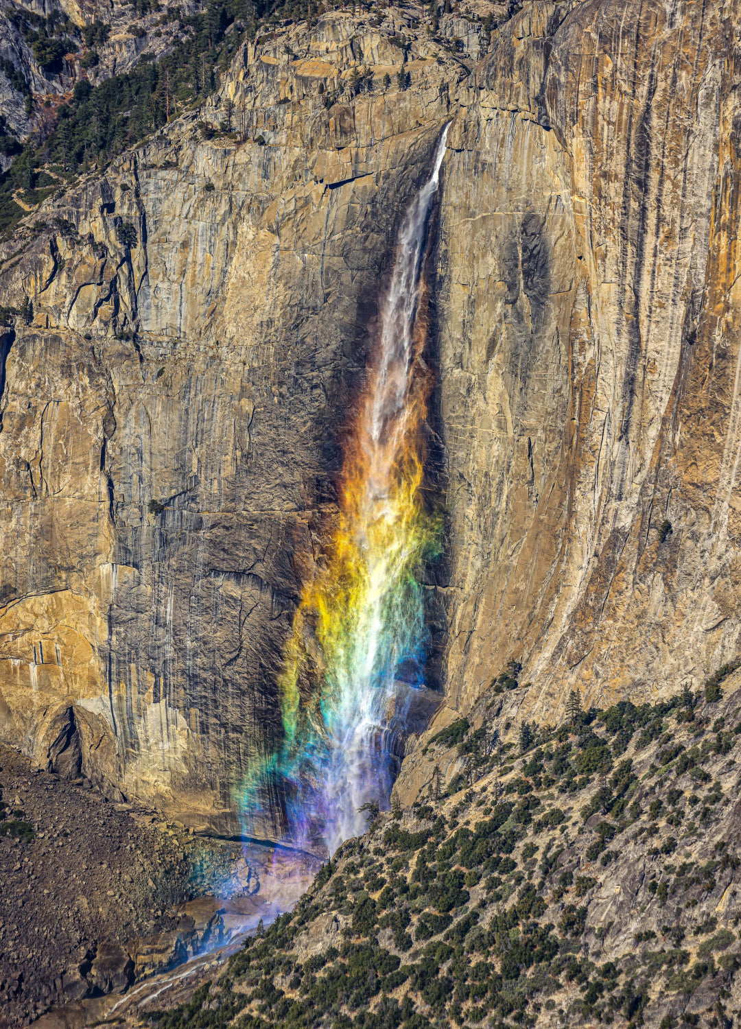 Colorful Upper Yosemite Falls Poster och Canvastavla