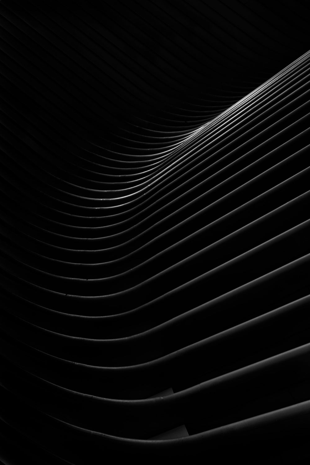 Music Strings 3 Poster och Canvastavla
