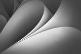 Curves Poster och Canvastavla